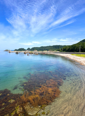 海